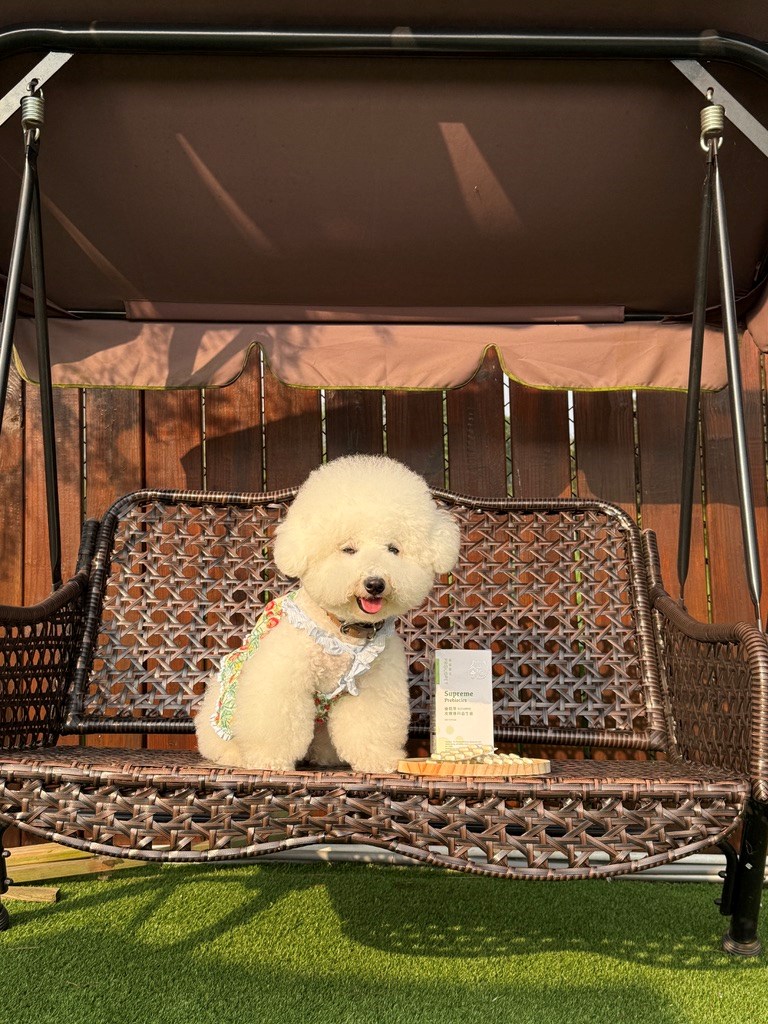 女人知己試用大隊,口碑行銷,部落客行銷,嬌寵醫生 極精萃 皮膚專科益生菌,保證新鮮活菌100億,皮膚保健益生菌,好吸收,幫助維持消化道機能,維持健康,可撥開膠囊使用以下方式均勻攪拌後，予以犬貓食用,●拌飼料　●拌罐頭　●拌鮮食　●拌肉泥,品牌創辦人是獸醫師，親自研發，吃得安心.放心,寵物預防醫學第一品牌,拒絕添加不必要成分
